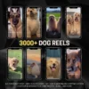 30,000+ Viral Faceless Reels to Monetize | PLR + MRR Pack