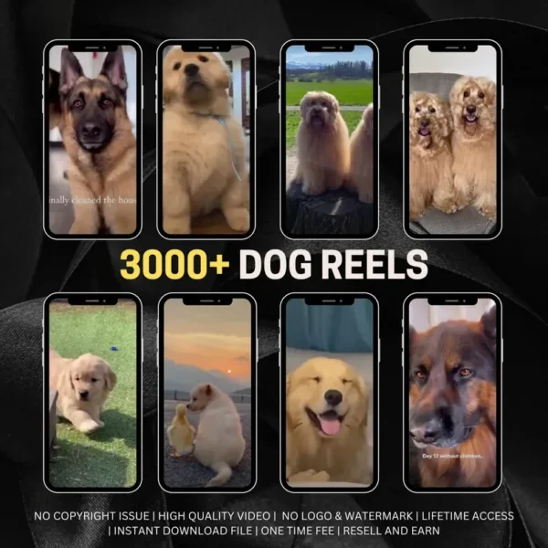 30,000+ Viral Faceless Reels to Monetize | PLR + MRR Pack
