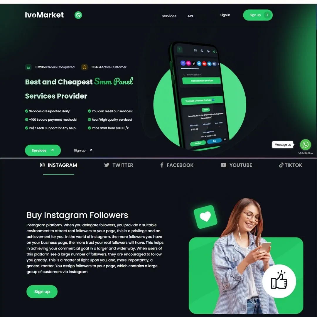 Amazing SMM Panel Script Gozibra – Automated Social Media Tool - Image 3