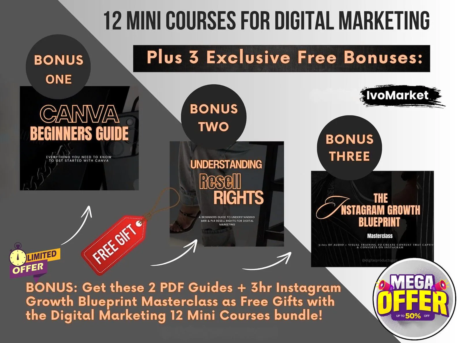 Digital Marketing 12 Mini Courses Bundle PLR & MRR - Image 3